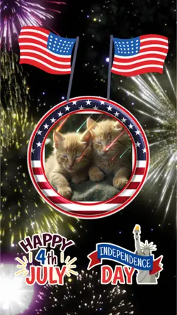 Happy 4 th July 