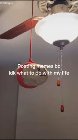 Posting memes