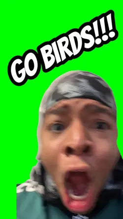 GO BIRDS!!!