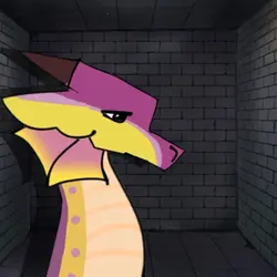 Kinkajou animation