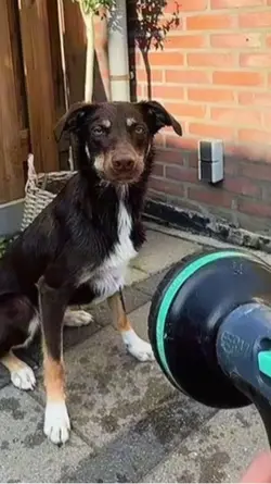 El dedo no 