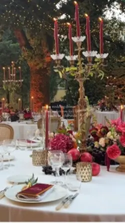 Magical Weddin