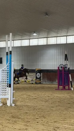 pony