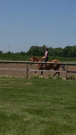 1st bareback canterr