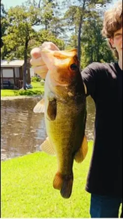 Hunting and fishing