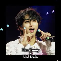 Birdbrai