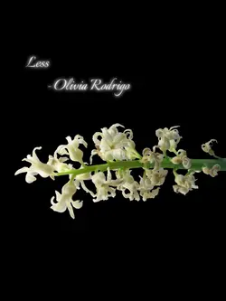 Less- Olivia Rodrigo