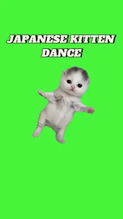 JAPANESE KITTEN MEME